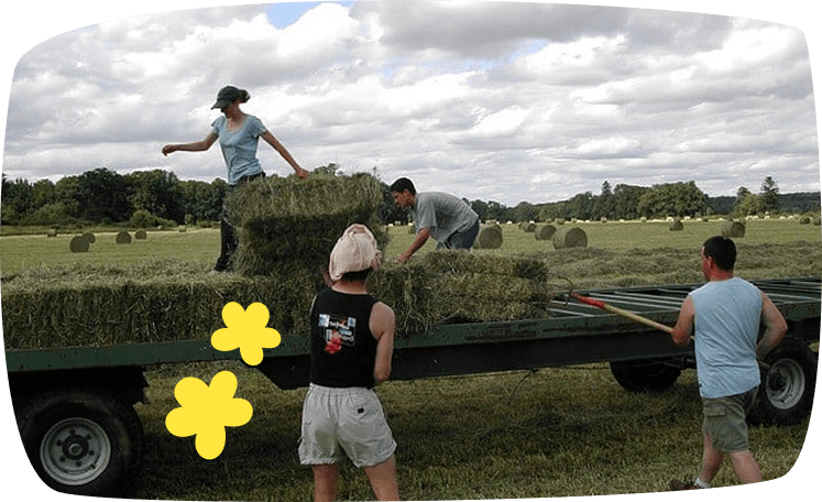 Grupo de personas cargando pacas de heno en un remolque en un campo, representando un trabajo de jornalero agrícola.