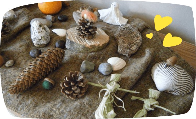 Mesa de observación Montessori con piñas, piedras, conchas y elementos naturales